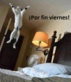 /album/fotogaleria/a529844-10151478570876676-1503334191-n-1-jpg/